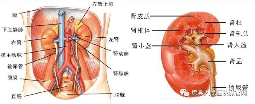 微信图片_20210401103724.jpg 微信图片_20210401103724.jpg